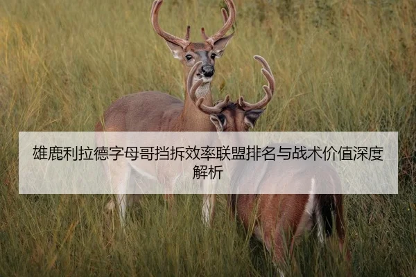 雄鹿利拉德字母哥挡拆效率联盟排名与战术价值深度解析