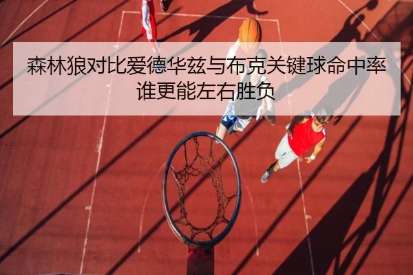 森林狼对比爱德华兹与布克关键球命中率谁更能左右胜负